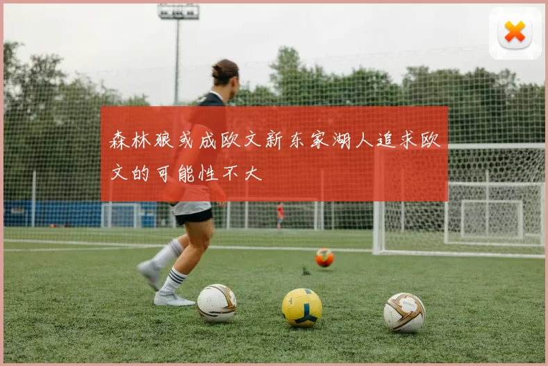 森林狼或成欧文新东家湖人追求欧文的可能性不大