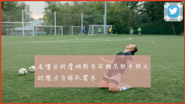 名嘴分析詹姆斯与布朗尼联手热火的潜力与球队需求