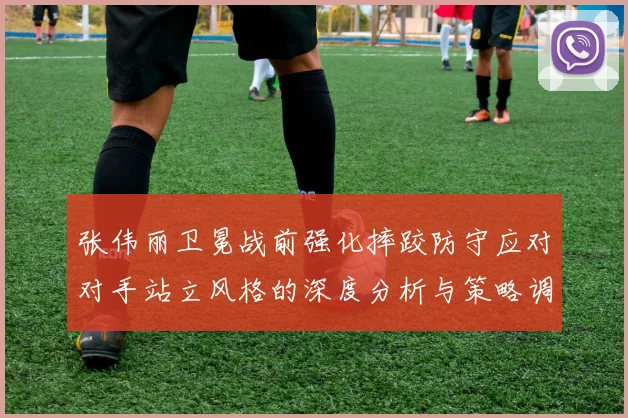 张伟丽卫冕战前强化摔跤防守应对对手站立风格的深度分析与策略调整